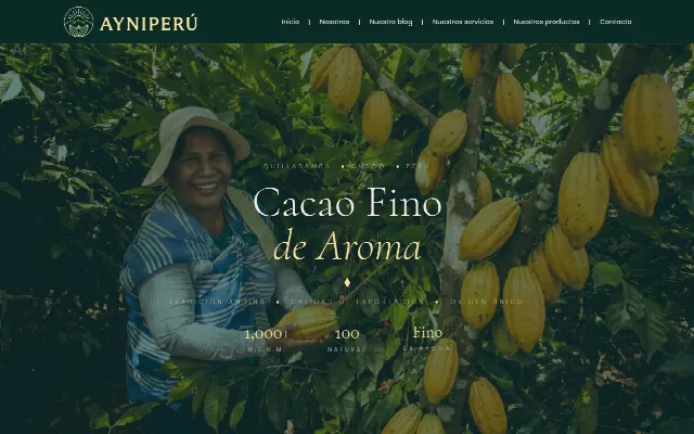 Captura de la web de Agroexportadora Ayni Perú