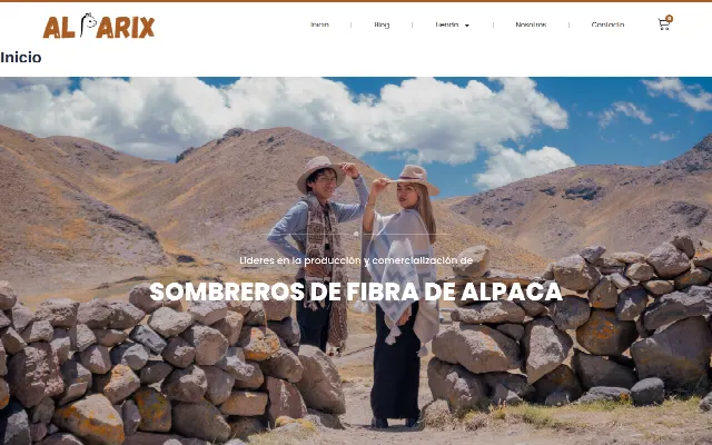 Captura de la web de Alparixperu