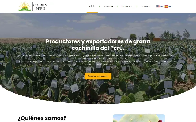 Captura de la web de Coexim Perú