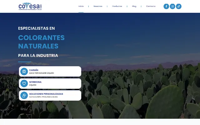Captura de la web de Cotesa