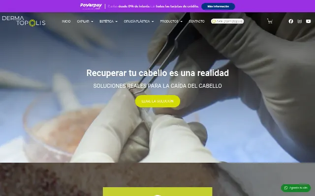 Captura de la web de WordPress › Error