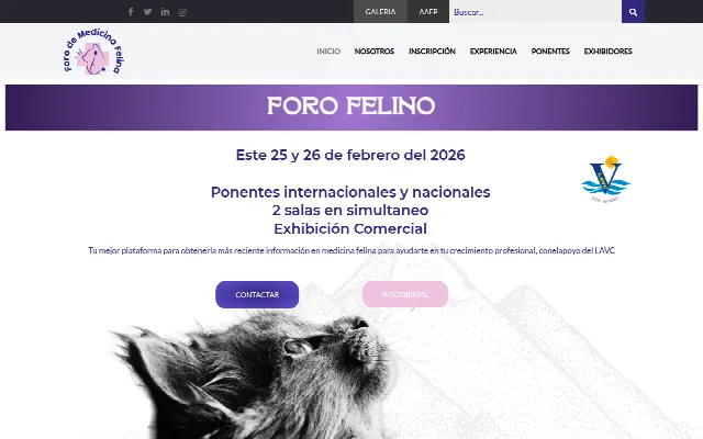 Captura de la web de Foro Felino – Medicina Felina