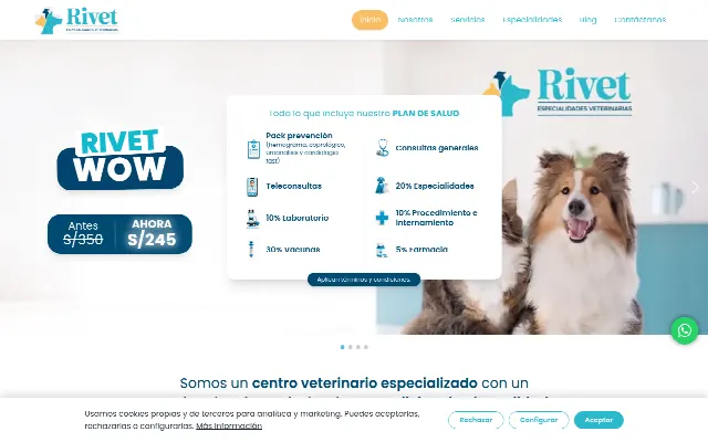 Captura de la web de Clínica veterinaria especializada | Rivet